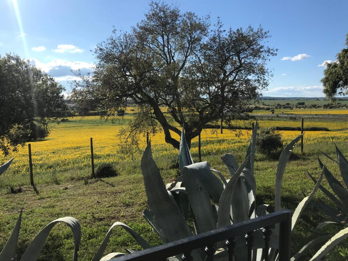 Quinta Da Colina Villa Evora Bagian luar foto